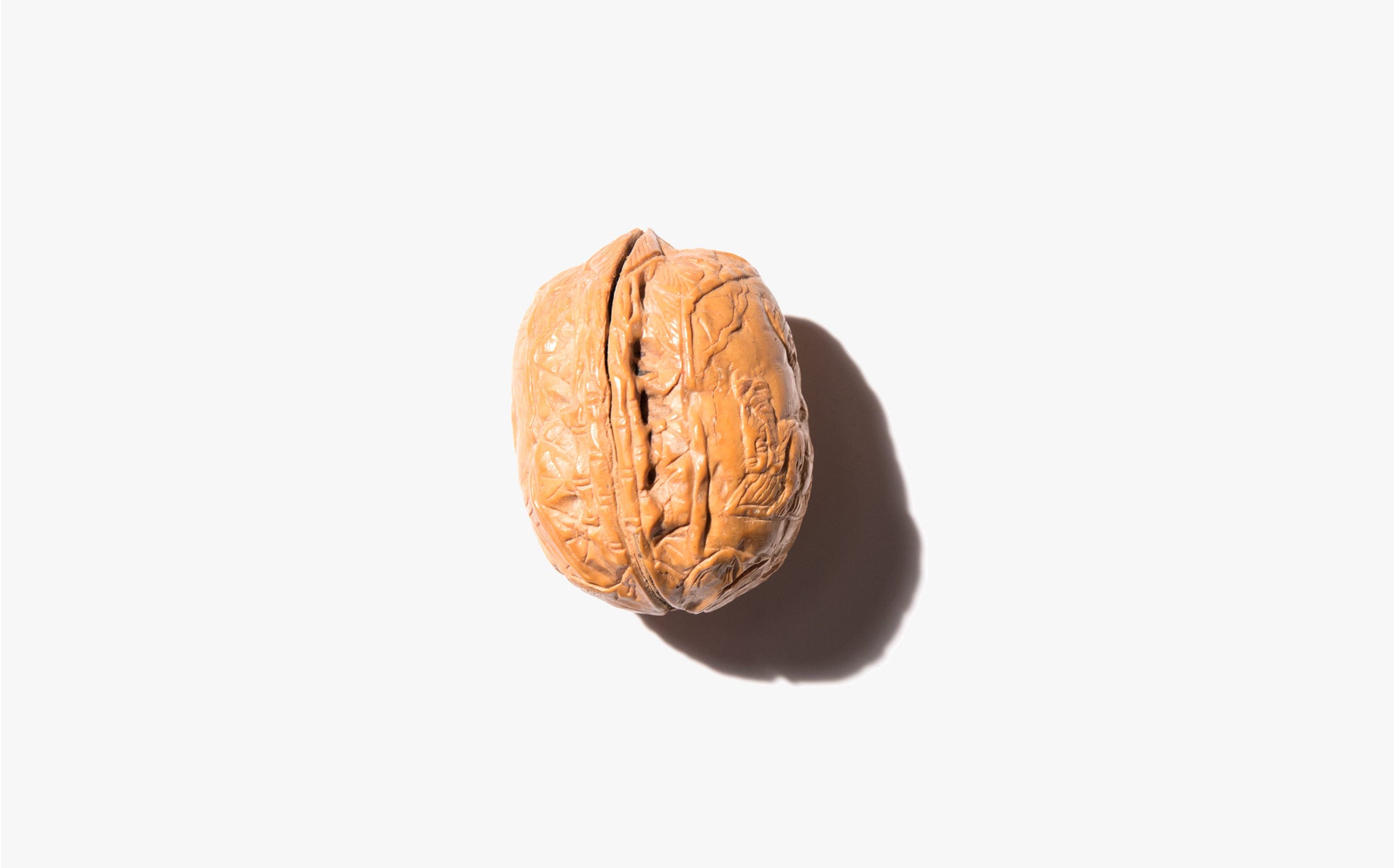 The Busta-Nut