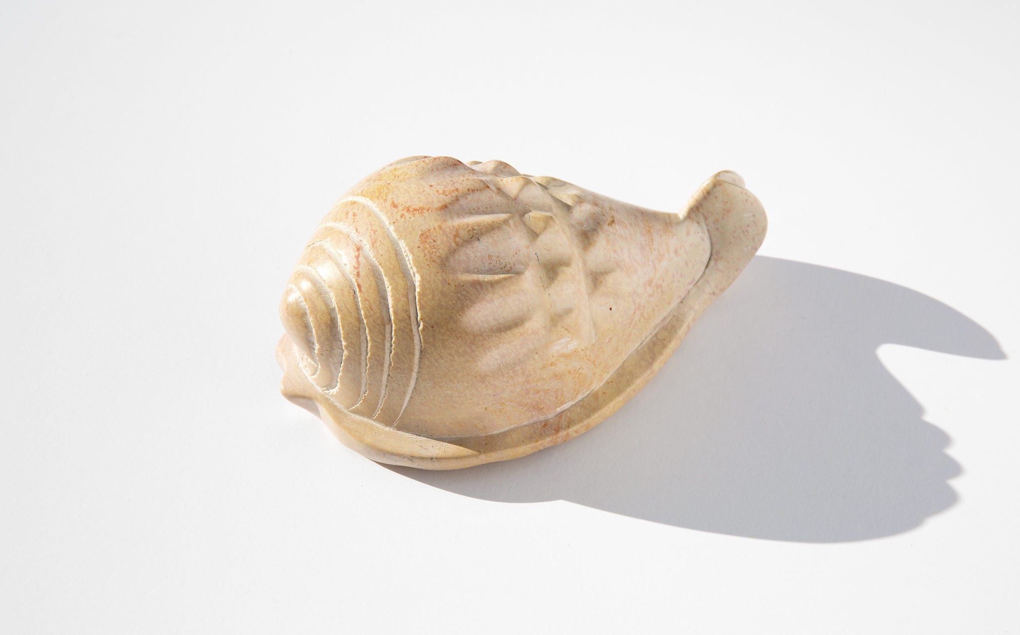 Stone Seashell
