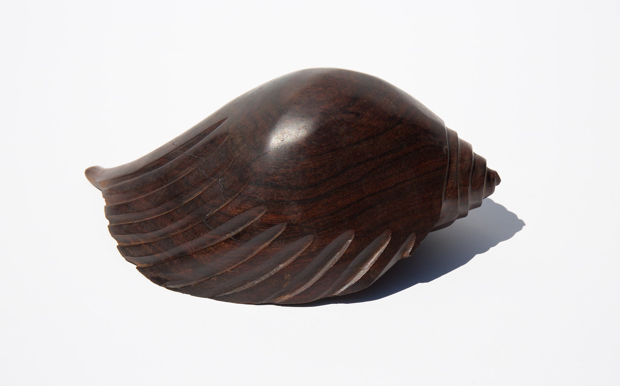 Carved Ironwood Conch Shell