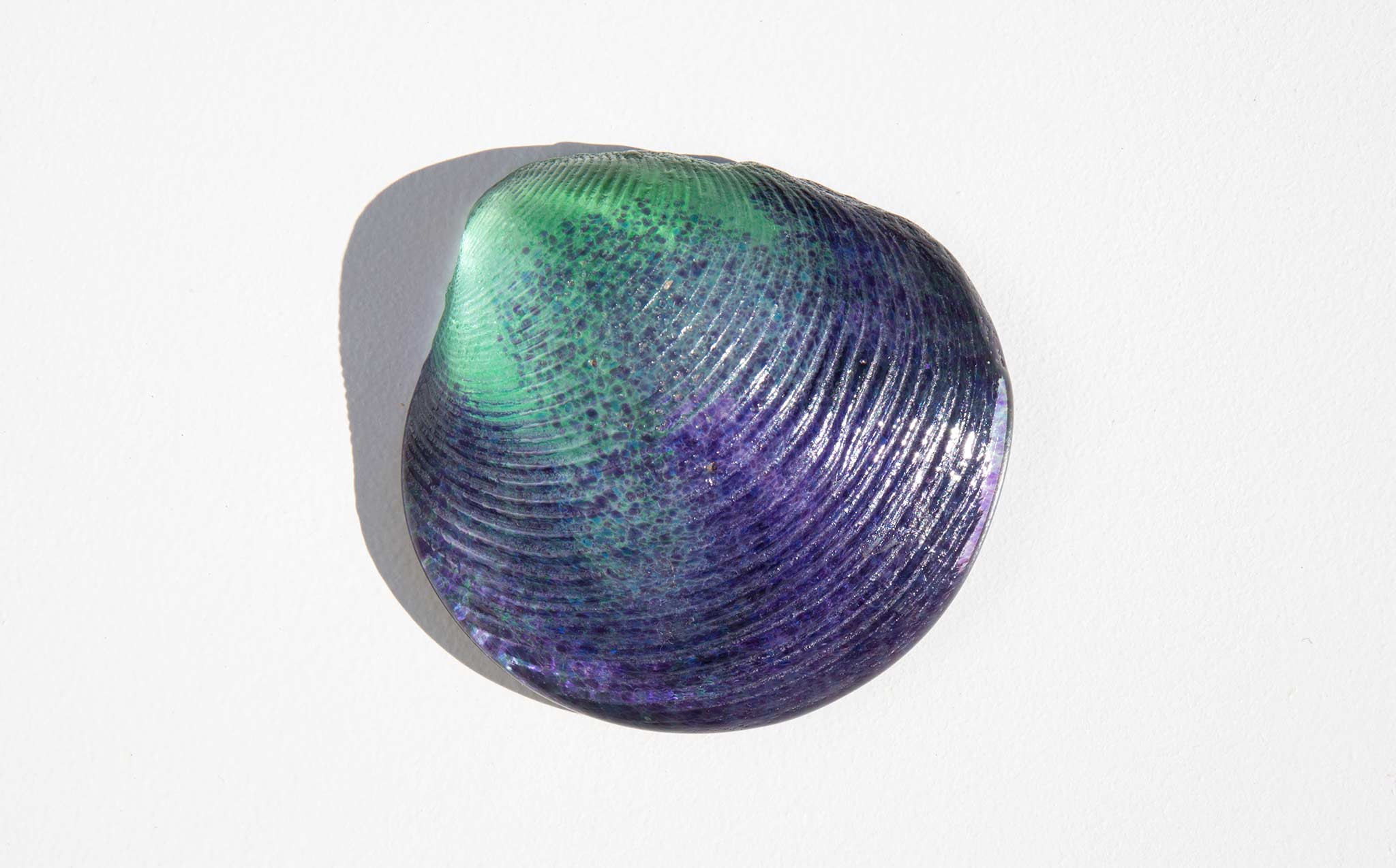 Ombre Glass Clam Shell