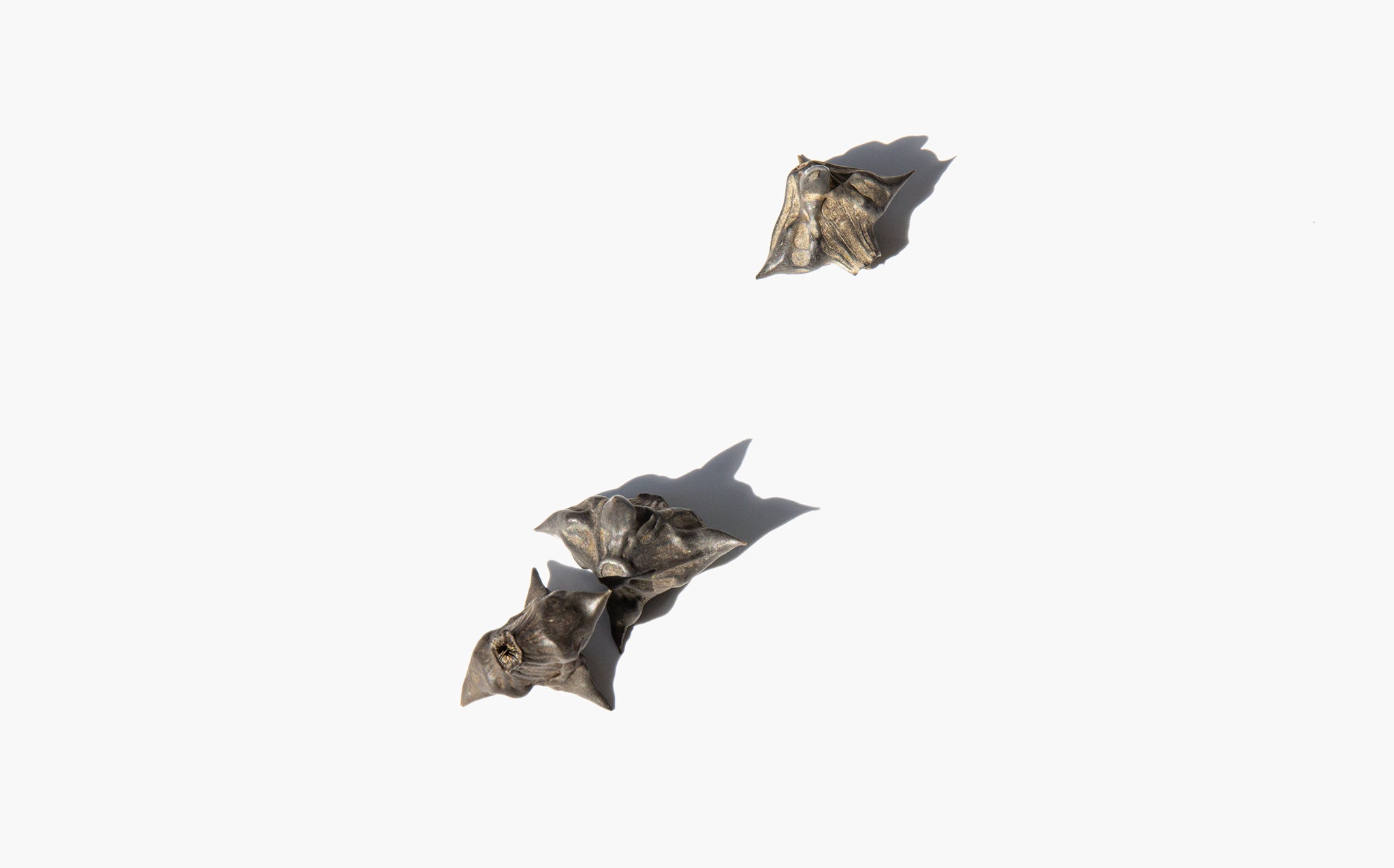 Bat Nuts