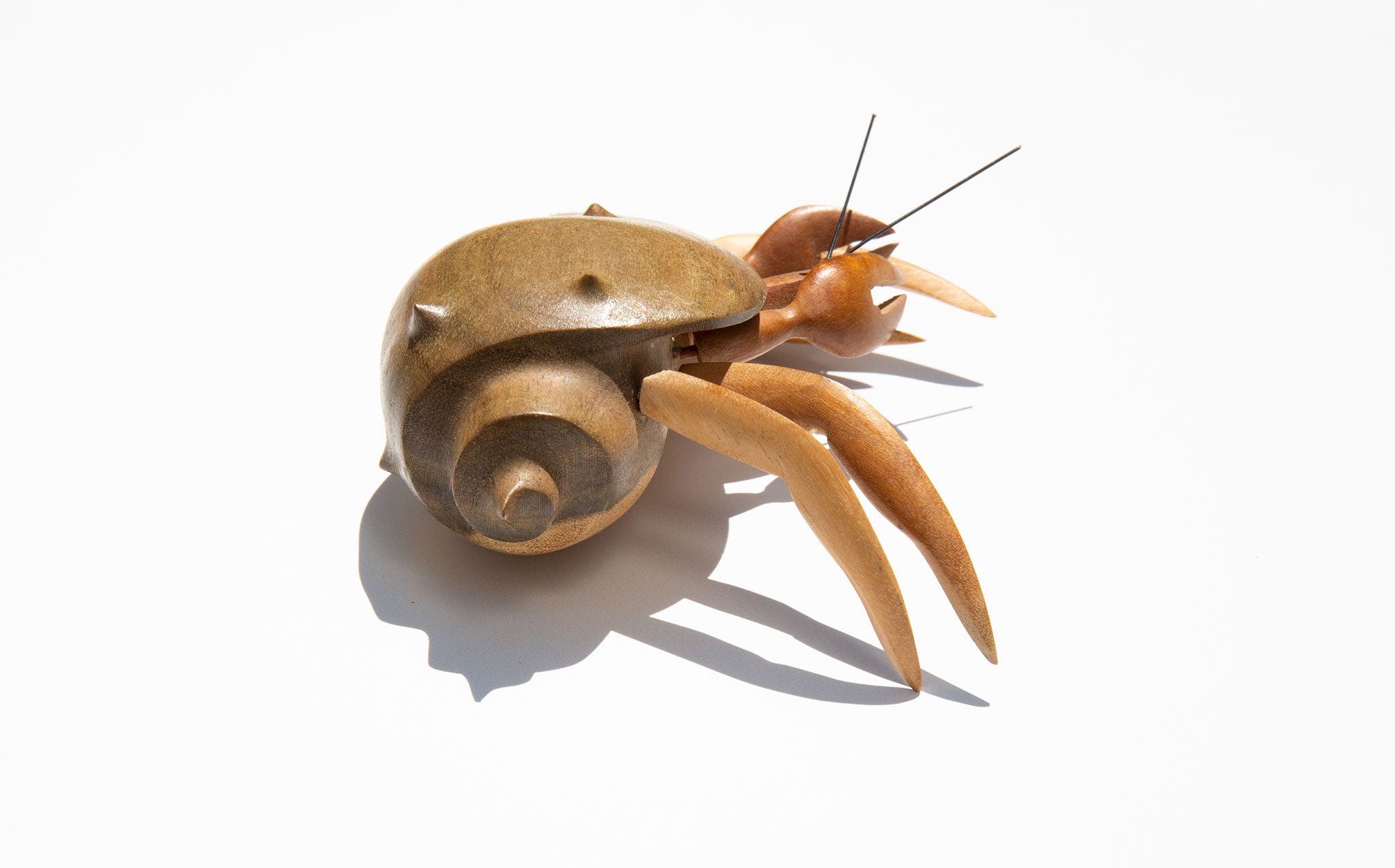 Wooden Crab
