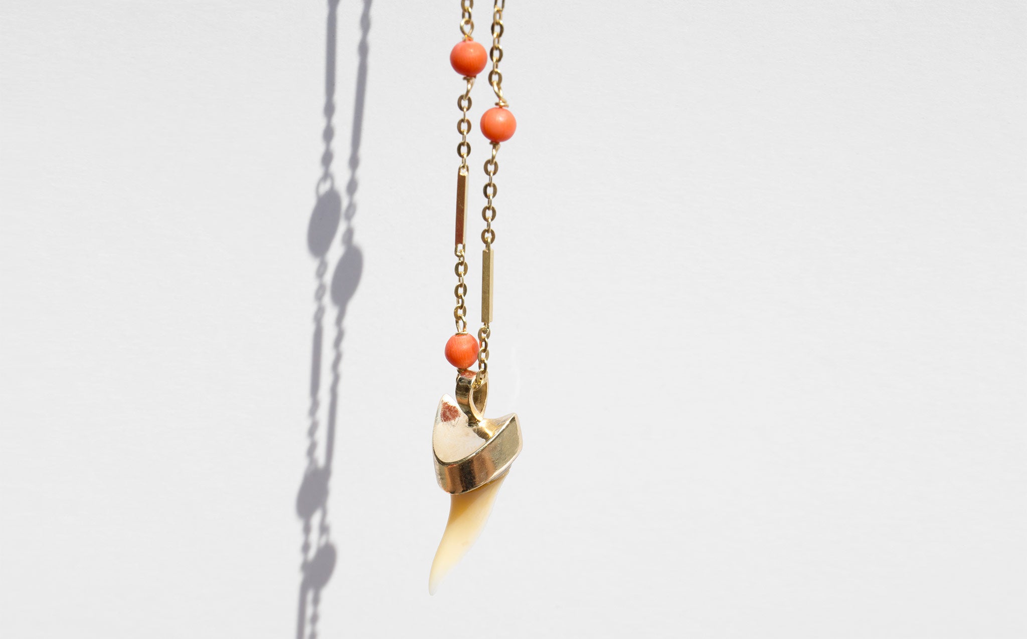 Shark Tooth and Coral Necklace