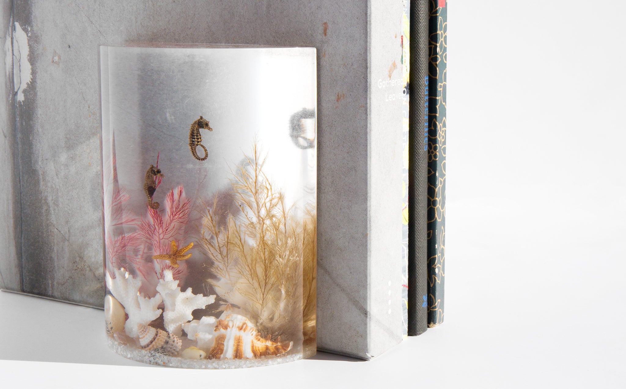 Under The Sea Bookends