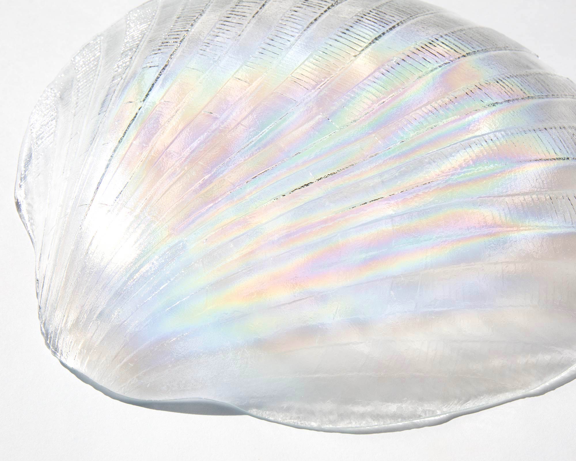 Iridescent Shell Plate