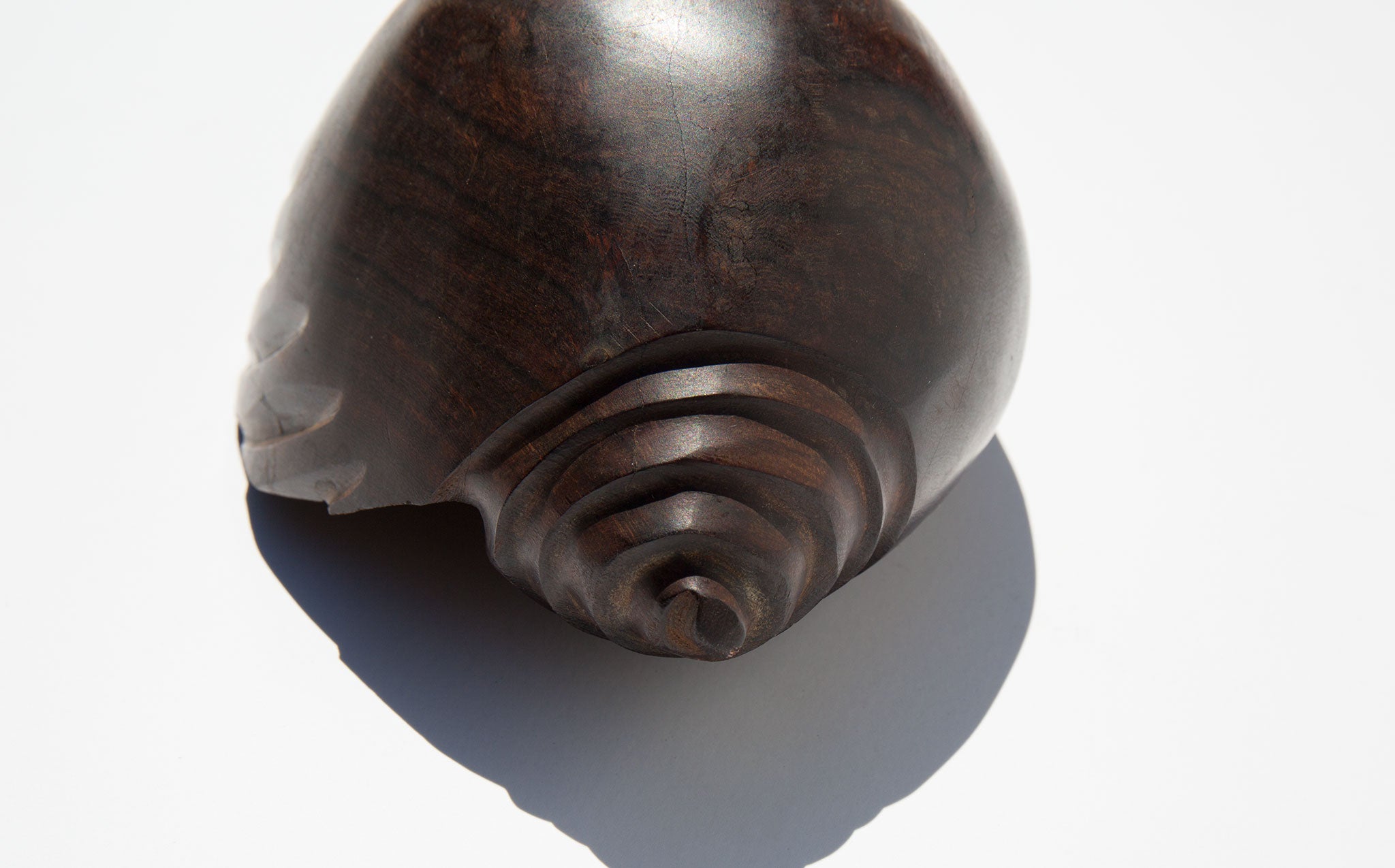 Carved Ironwood Conch Shell