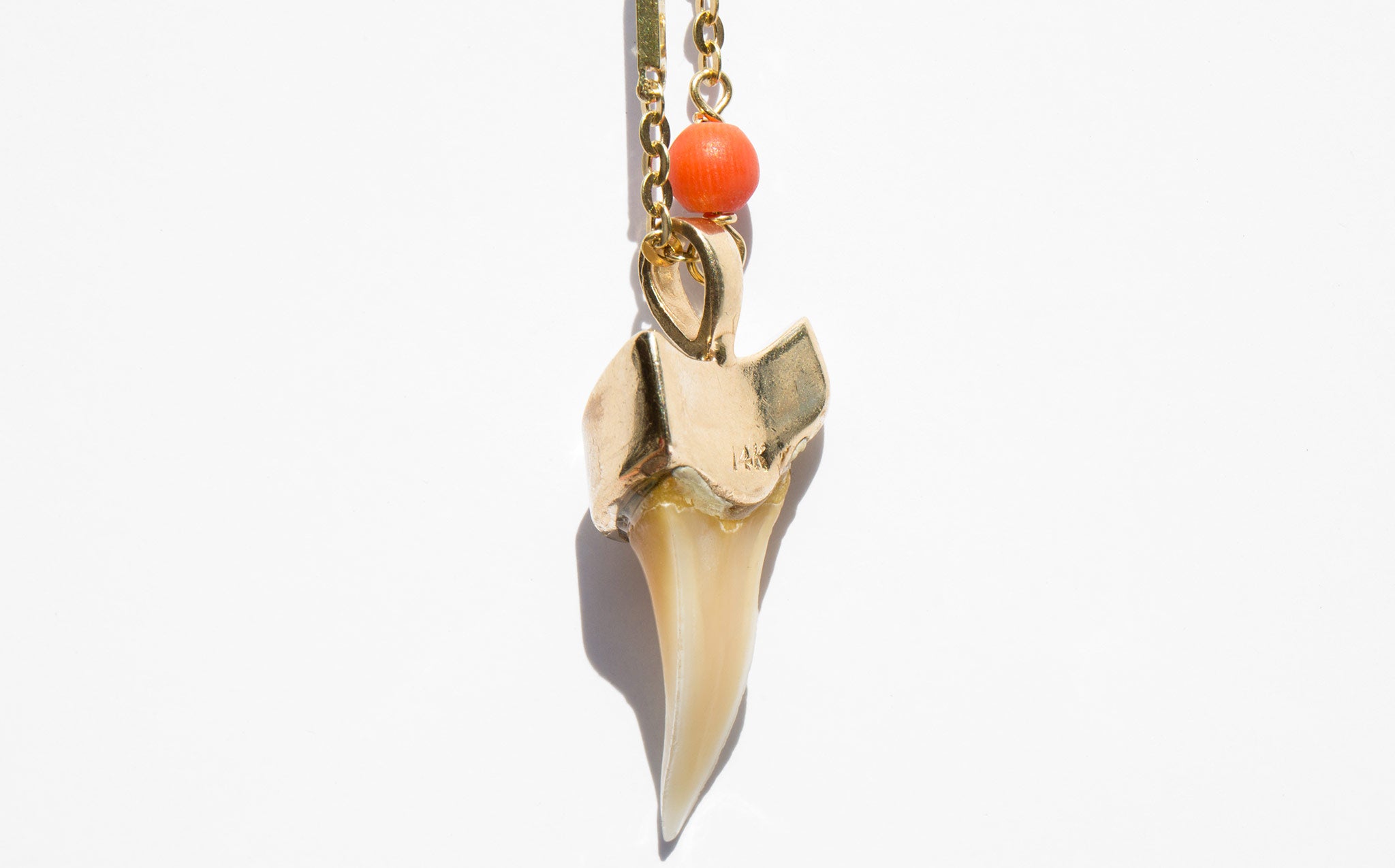 Shark Tooth and Coral Necklace