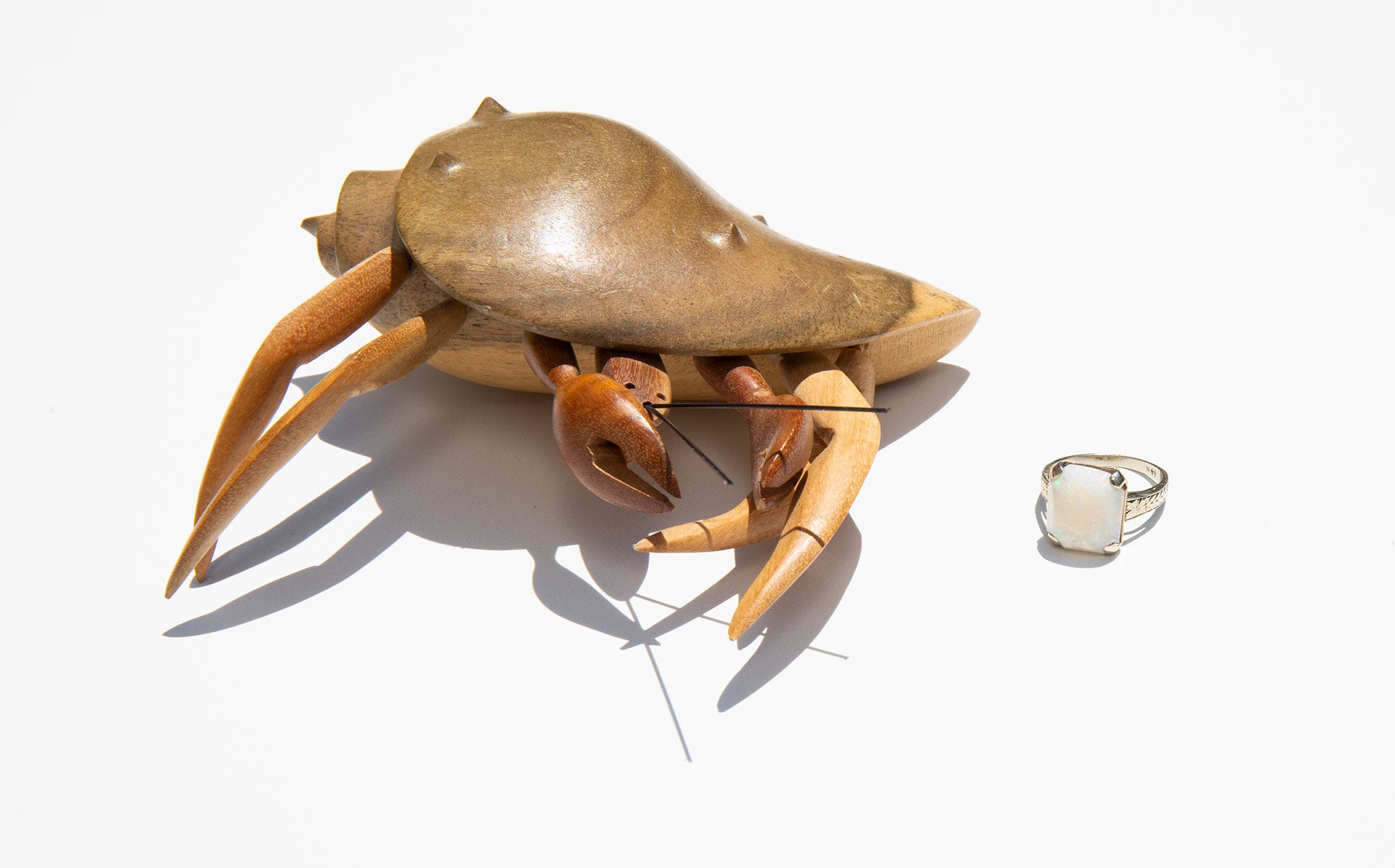 Wooden Crab