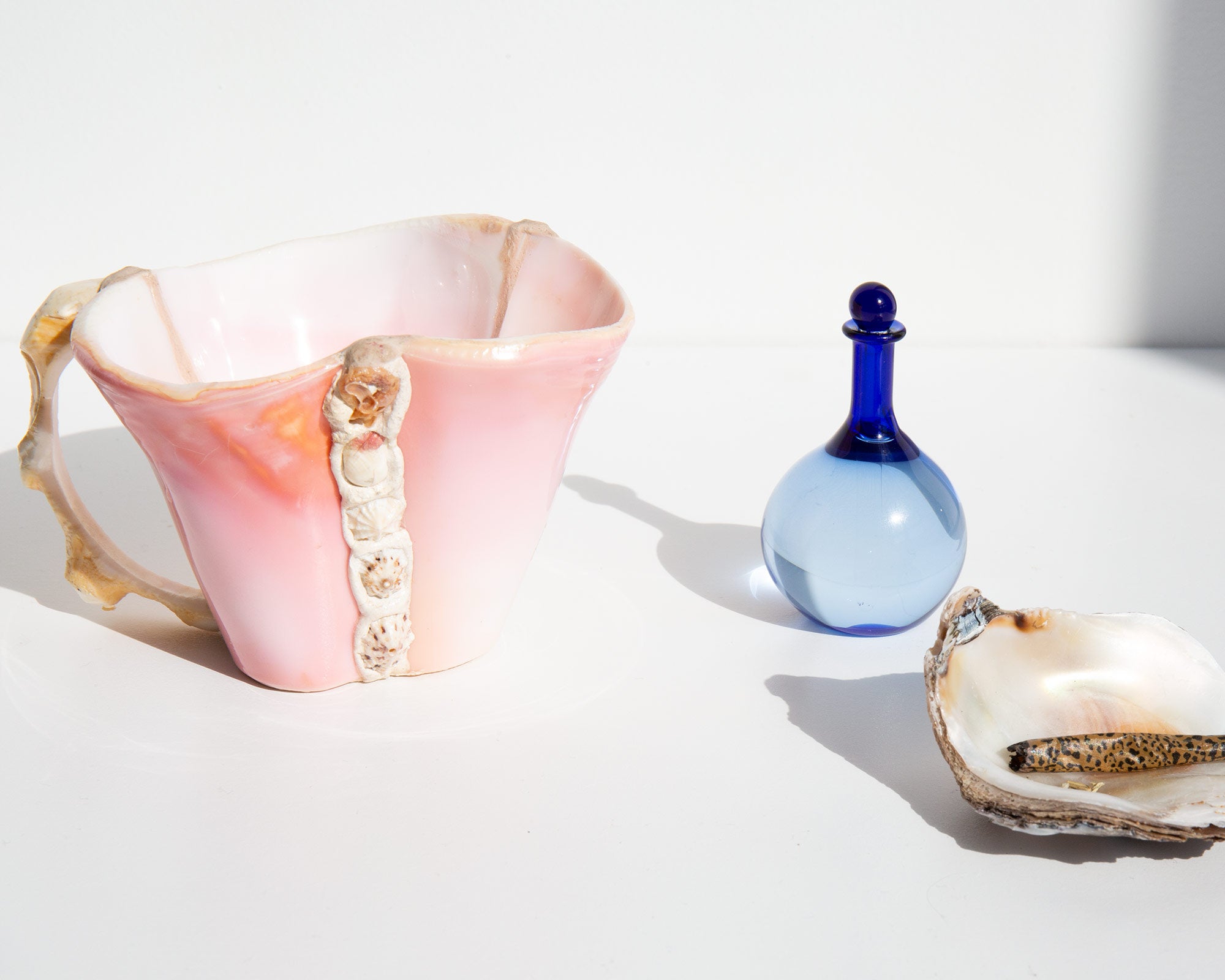 Handmade Seashell Cup