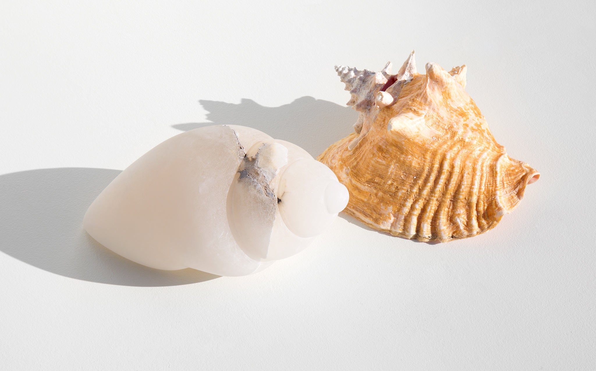 White Alabaster Conch Sculpture