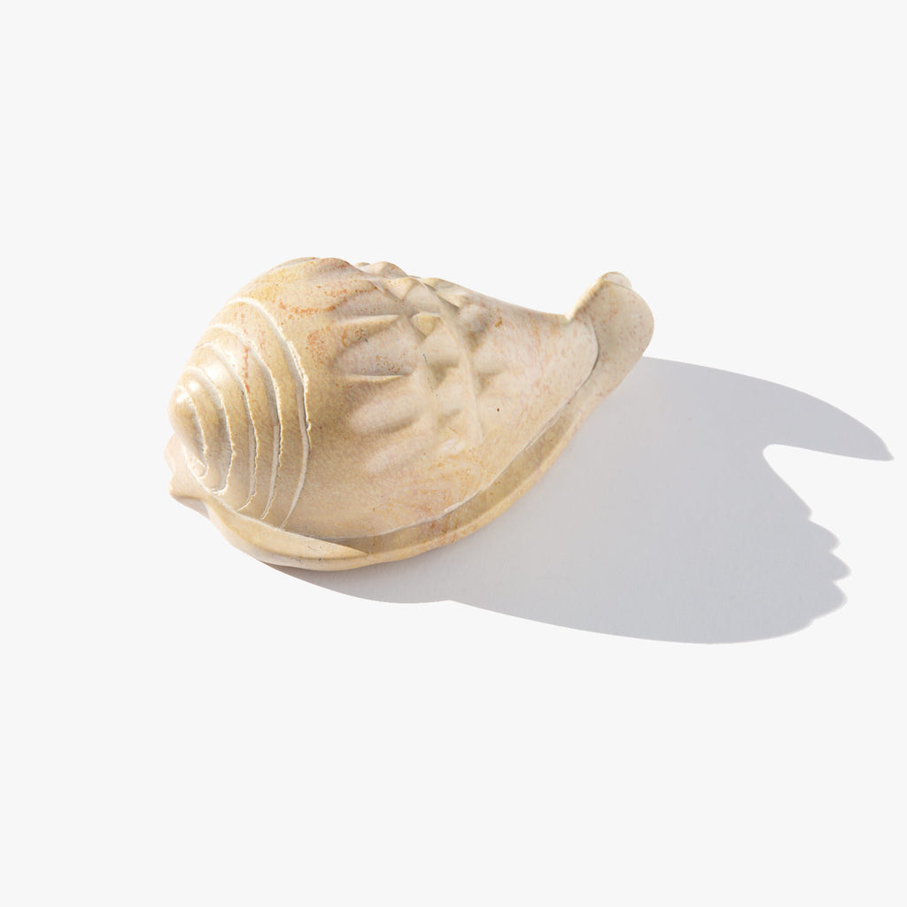 Stone Seashell