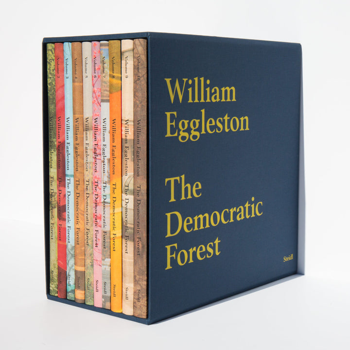 The Democratic Forest - William Eggleston | Kindred Black