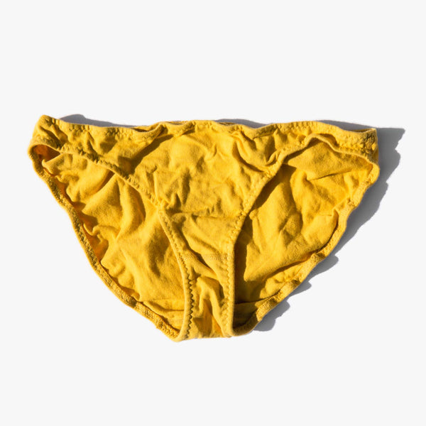 Pansy Sunflower Low Rise Panty